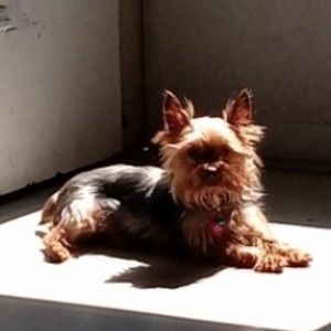 Meet your Posher, Brent